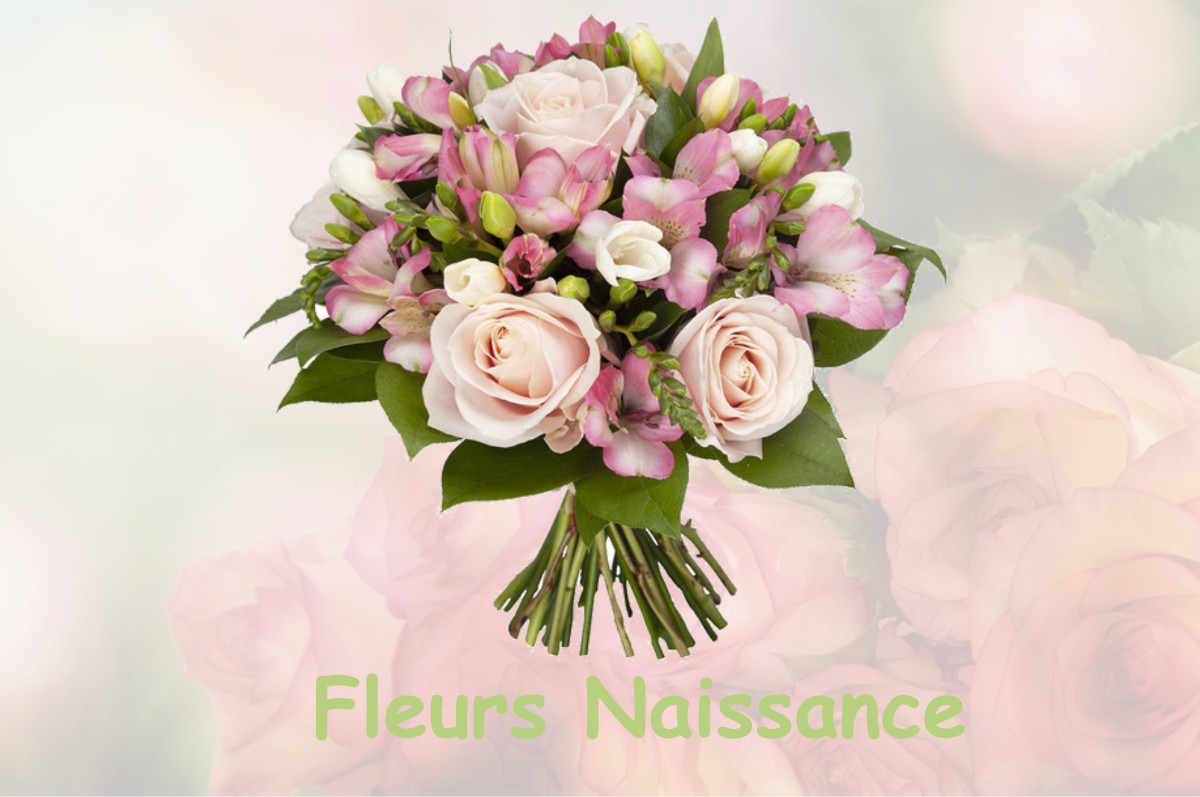fleurs naissance USSY-SUR-MARNE